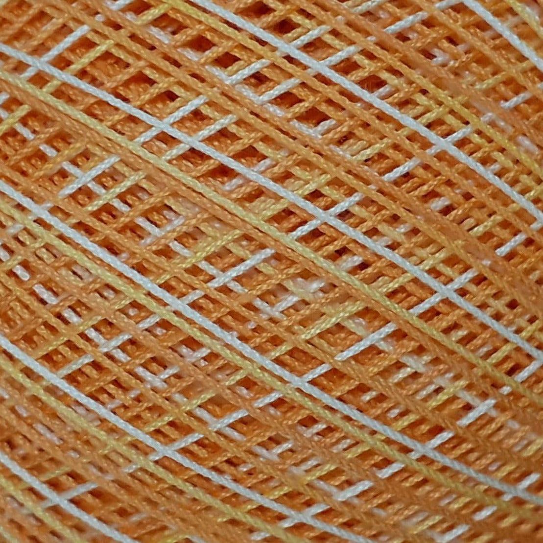 DOLI1219