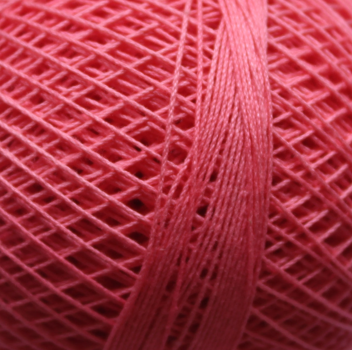 Rose Tkt.40 RRF033
