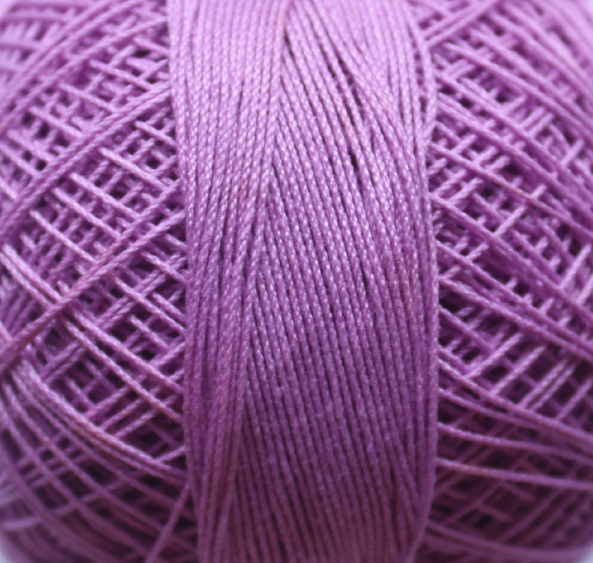 Rose Tkt.40 RRF098