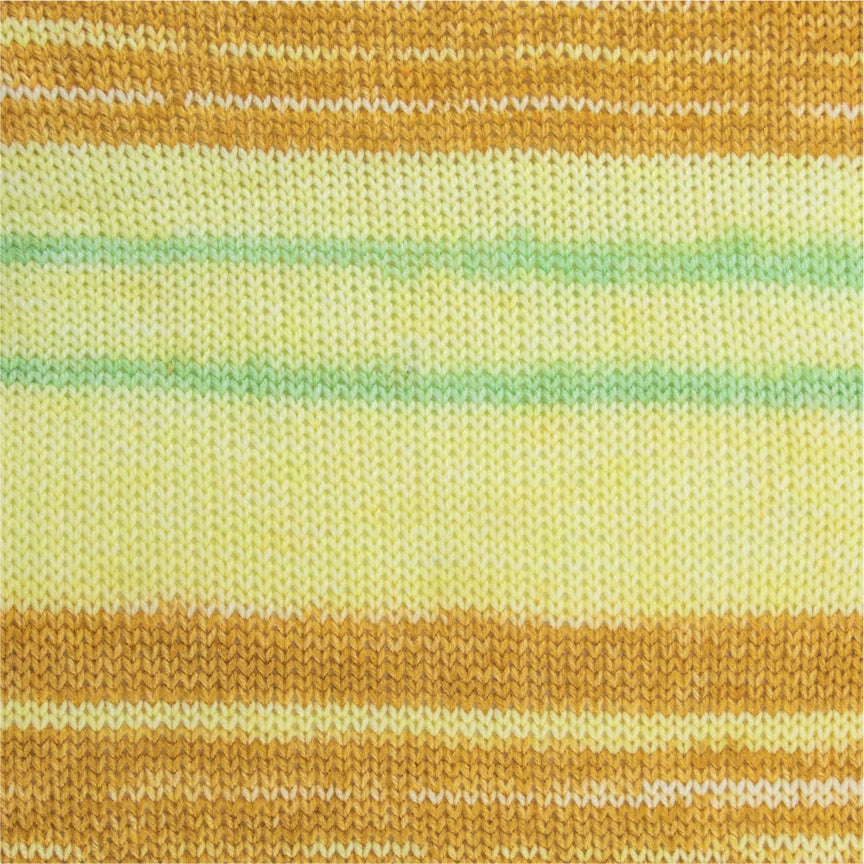 Nova Multi NEM006 Melody
