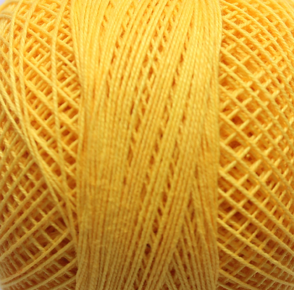 Rose Tkt.40 RRF298