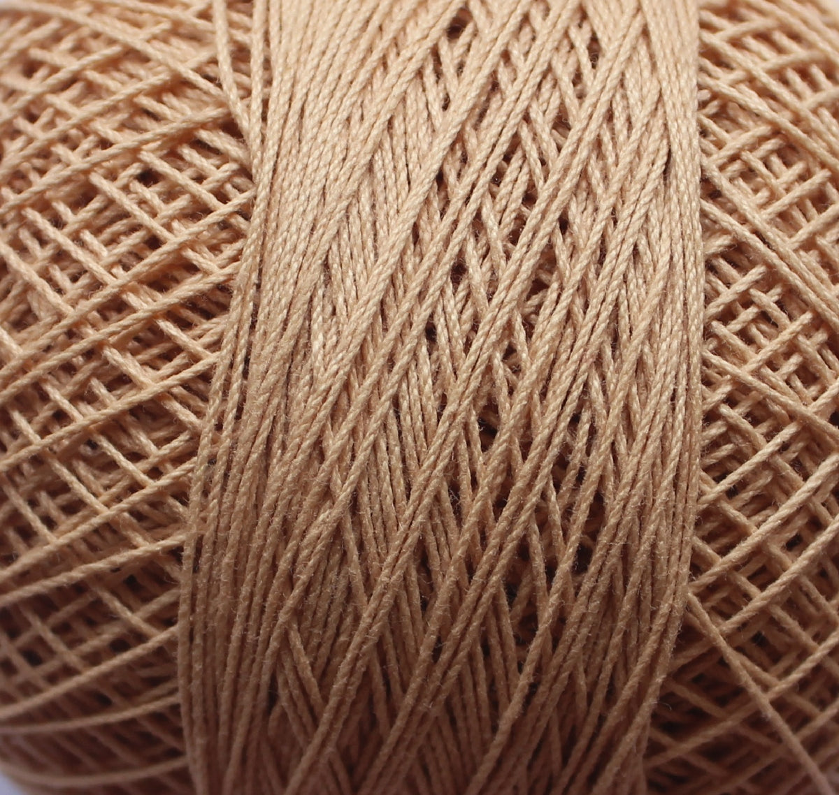 Rose Tkt.40 RRF368