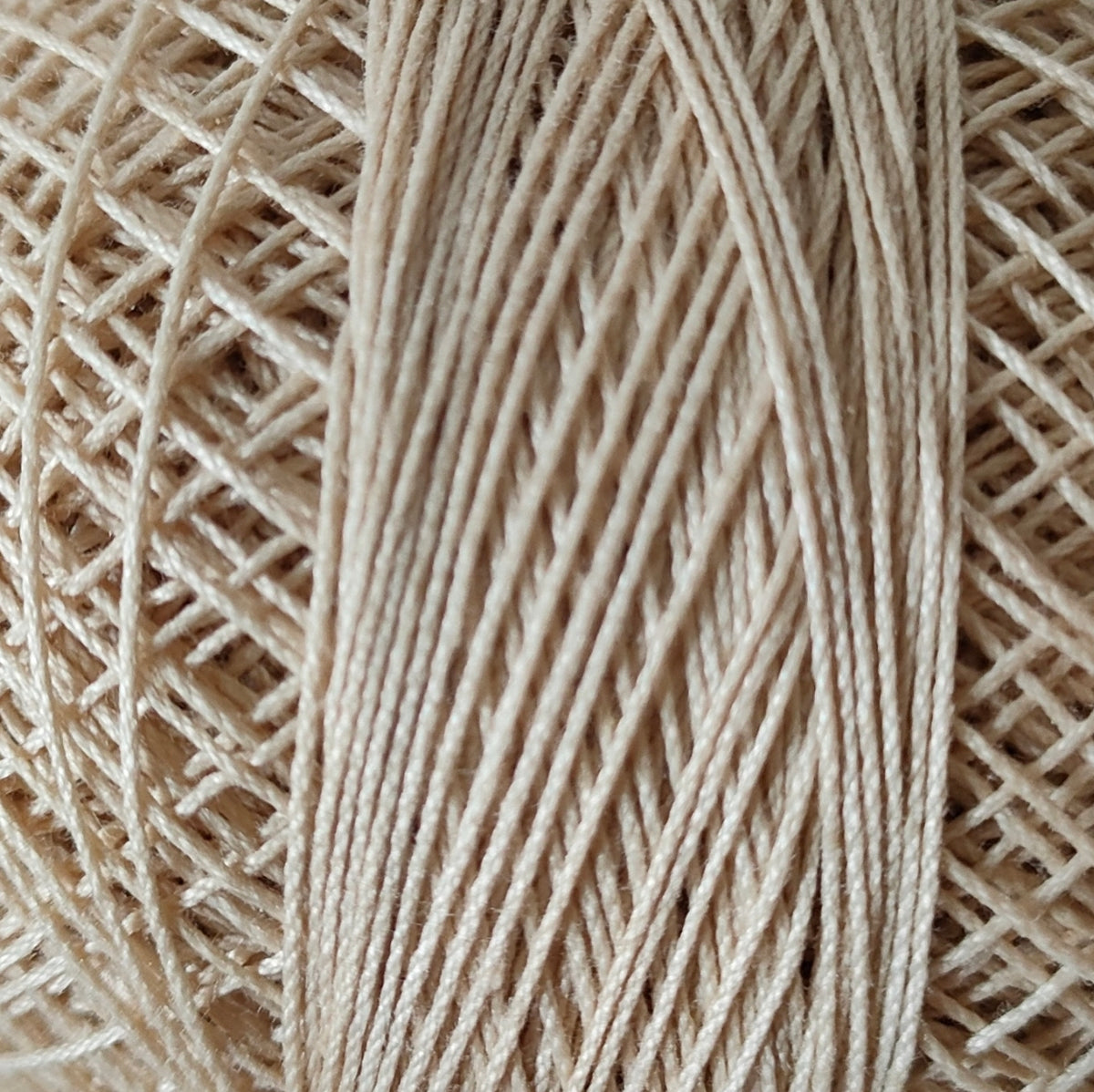 Rose Tkt.40 RRF388