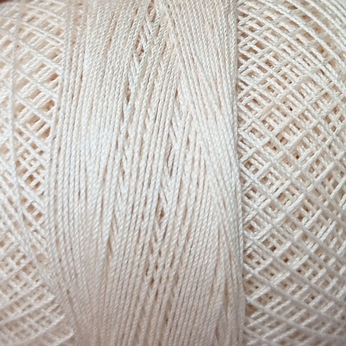 Rose Tkt.40 RRF926 Egg Shell